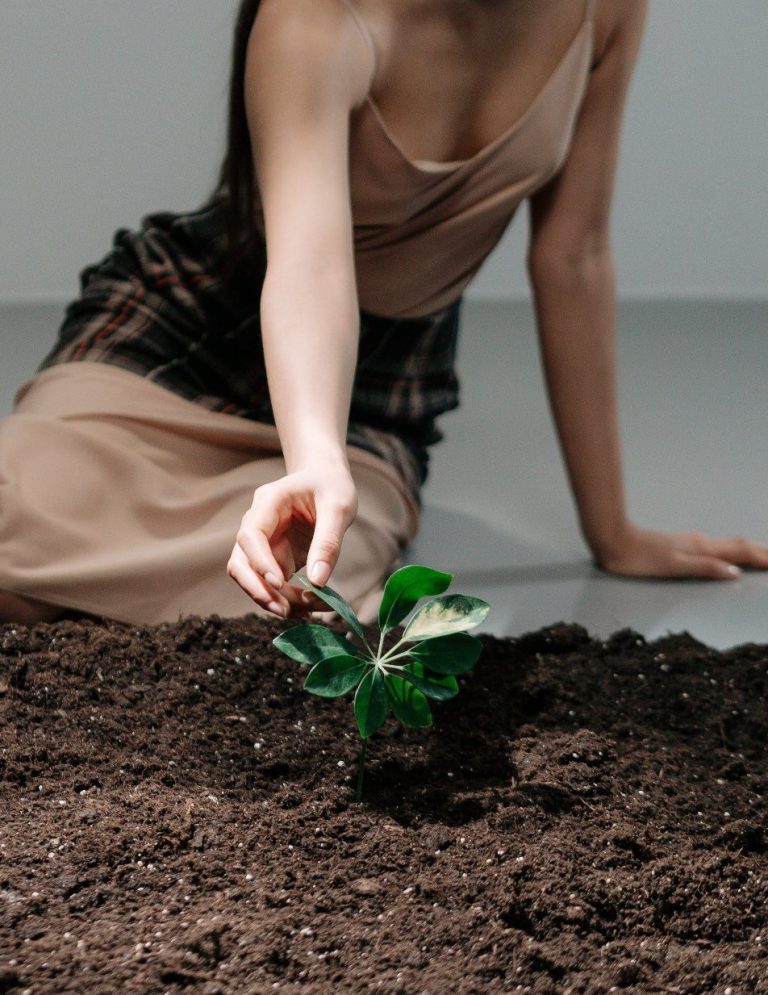 preserver la planete en recyclant eau de pluie